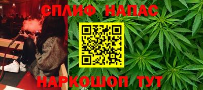 альфа пвп Заводоуковск