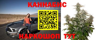 альфа пвп Заводоуковск
