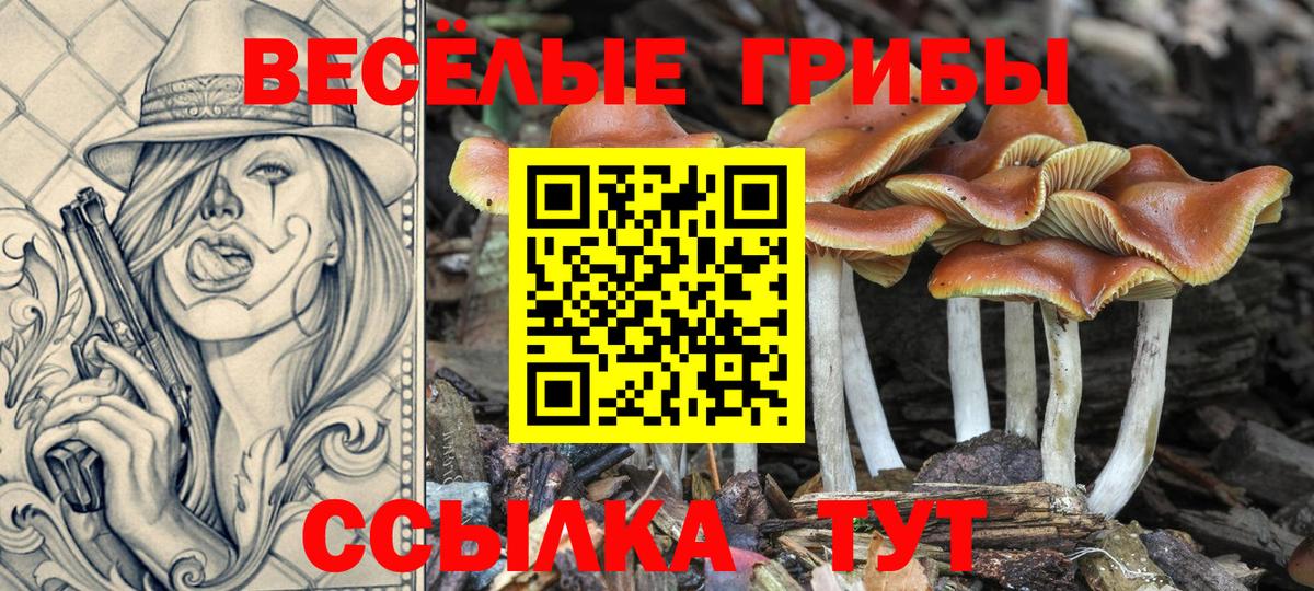 Галлюциногенные грибы мицелий Ливны